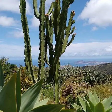 *****finca Bella Vista Daire *