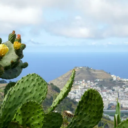 Daire *****finca Bella Vista