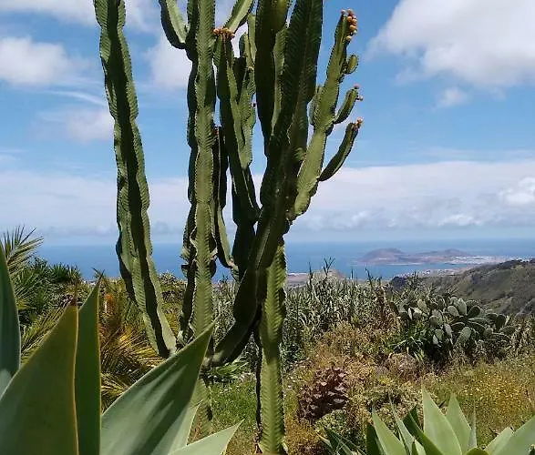 *****finca Bella Vista Апартаменты *